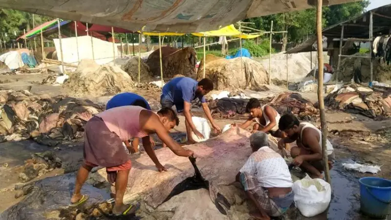 শ্রমিক নেই,পঁচে যাচ্ছে কোরবানির চামড়া — শম্ভুগঞ্জ হাটে বিপর্যয় শ্রমিক নেই,পঁচে যাচ্ছে কোরবানির চামড়া — শম্ভুগঞ্জ হাটে বিপর্যয়