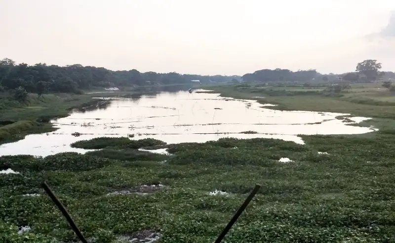 কটিয়াদীর দুঃখ নরসুন্দা নদ,সংস্কারের অভাবে বিলুপ্তির পথে প্রায় কটিয়াদীর দুঃখ নরসুন্দা নদ,সংস্কারের অভাবে বিলুপ্তির পথে প্রায়