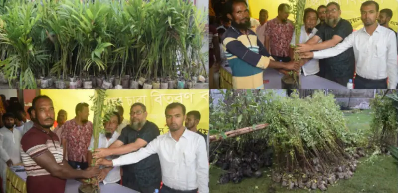 চরফ্যাশনে ফলদ ও ঔষধি গাছের চারা পেল এক হাজার পরিবার চরফ্যাশনে ফলদ ও ঔষধি গাছের চারা পেল এক হাজার পরিবার