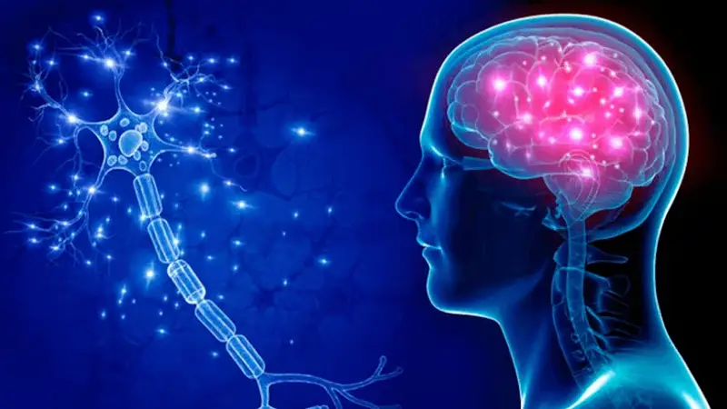 জেনে নিন, স্মরণশক্তি ধারালো করার কৌশল 