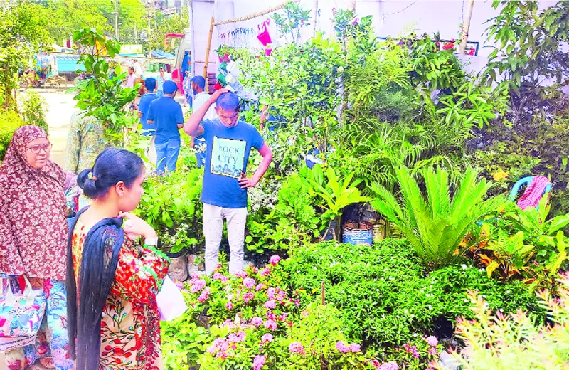 দেশী-বিদেশী বনজ  ফলদের চারা, বিক্রি হচ্ছে হরদম