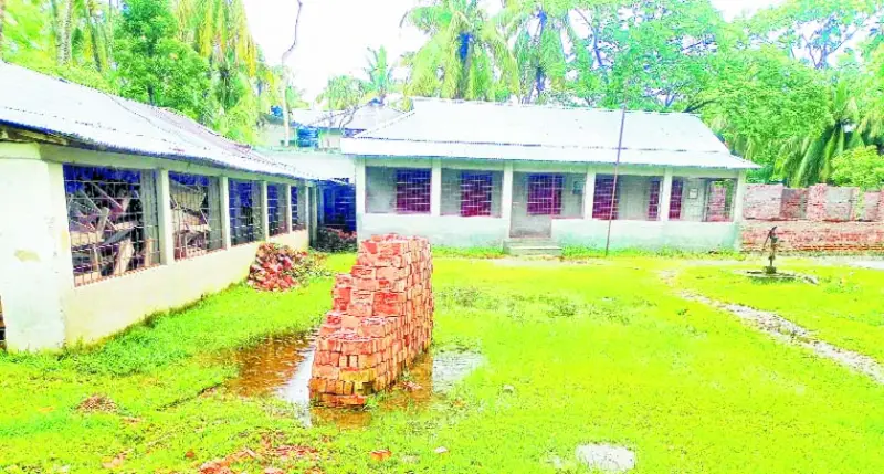 কাউখালীর দুই স্কুলের মাঠে পানি কাউখালীর দুই স্কুলের মাঠে পানি