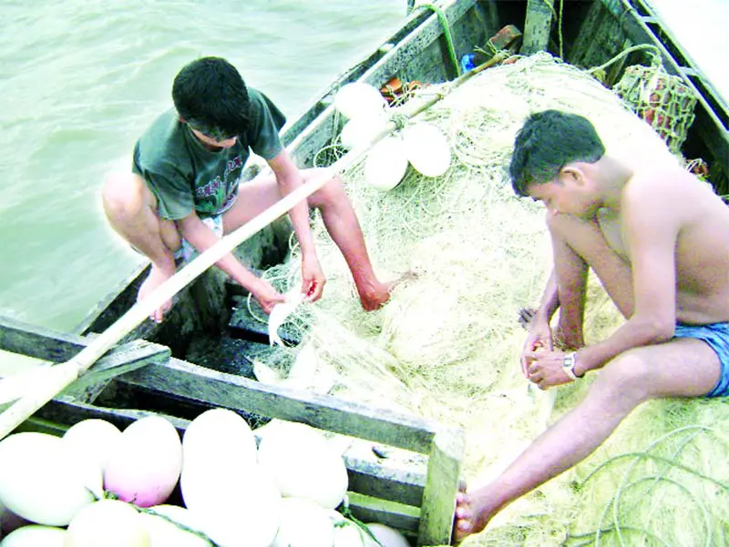 নোনাজলে রূপালী শস্য