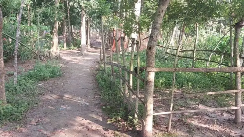 কোটালীপাড়ায় অর্থ উত্তোলনের ৩ বছরেও শুরু হয়নি কবরস্থানের রাস্তা নির্মাণ কোটালীপাড়ায় অর্থ উত্তোলনের ৩ বছরেও শুরু হয়নি কবরস্থানের রাস্তা নির্মাণ