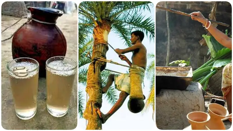 শীতকালীন ঐতিহ্য ও অর্থনীতিতে খেজুরের রস শীতকালীন ঐতিহ্য ও অর্থনীতিতে খেজুরের রস