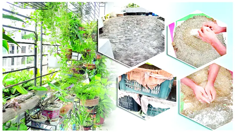 টবের মাটি নিজেই প্রস্তুত করুন টবের মাটি নিজেই প্রস্তুত করুন