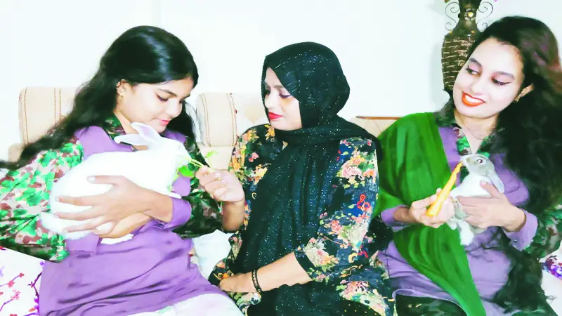 পোষা প্রাণি খরগোশের যত্ন পোষা প্রাণি খরগোশের যত্ন