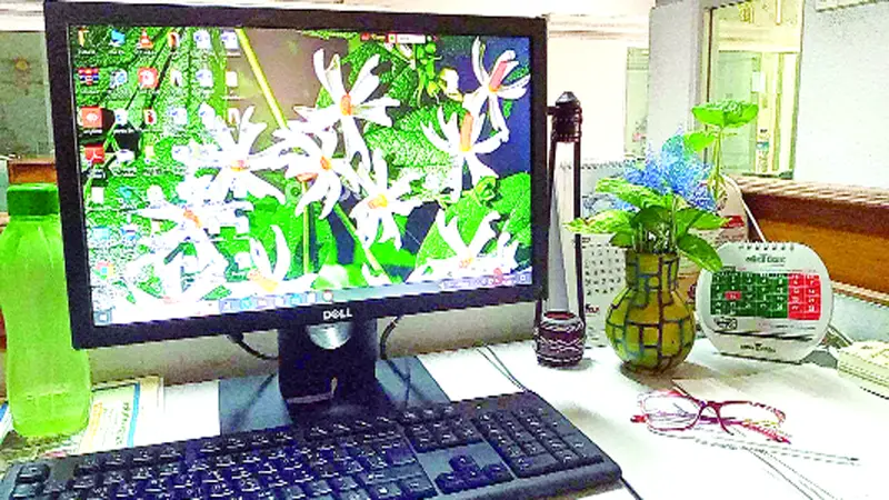অফিসে সবুজের ছোঁয়া অফিসে সবুজের ছোঁয়া