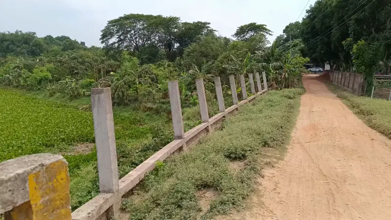 ঝিনাইদহের কালীগঞ্জে অর্ধশত বিঘা নদী দখল করে রেখেছেন আওয়ামী লীগ নেতা ও তার পরিবার ঝিনাইদহের কালীগঞ্জে অর্ধশত বিঘা নদী দখল করে রেখেছেন আওয়ামী লীগ নেতা ও তার পরিবার