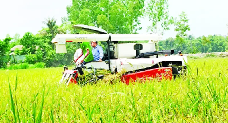 ডিজিটাল পদ্ধতিতে বোরো  ধানের চাষাবাদ