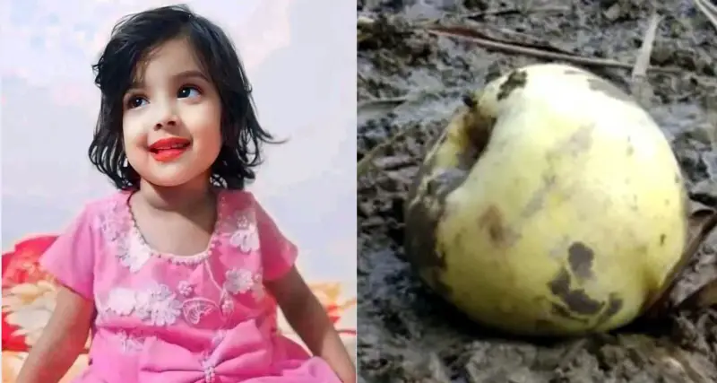 হাতে থাকা আপেলটিও খেতে দেওয়া হয়নি শিশু মুনতাহাকে হাতে থাকা আপেলটিও খেতে দেওয়া হয়নি শিশু মুনতাহাকে
