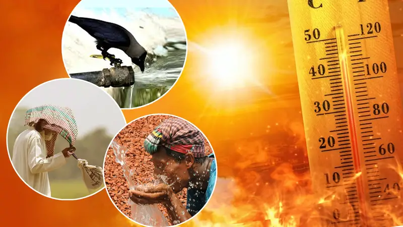 তাপদাহে বিপর্যস্ত দেশ তাপদাহে বিপর্যস্ত দেশ