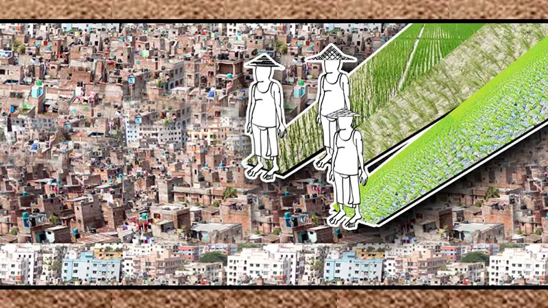 অপরিকল্পিত নগরায়নে বিলীন হচ্ছে কৃষি জমি অপরিকল্পিত নগরায়নে বিলীন হচ্ছে কৃষি জমি