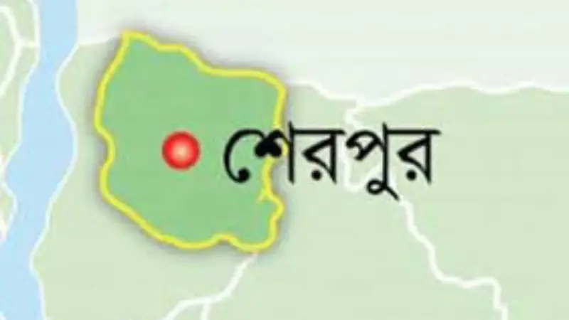 শেরপুরে গলায় লিচুর বিচি আটকে শিশুর মৃত্যু শেরপুরে গলায় লিচুর বিচি আটকে শিশুর মৃত্যু
