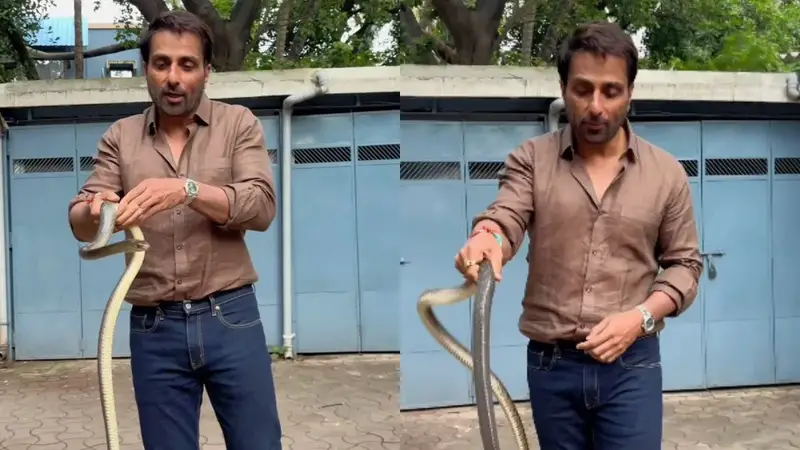 অভিনেতা সোনু সুদ সাপ উদ্ধার করলেন খালি হাতে! অভিনেতা সোনু সুদ সাপ উদ্ধার করলেন খালি হাতে!