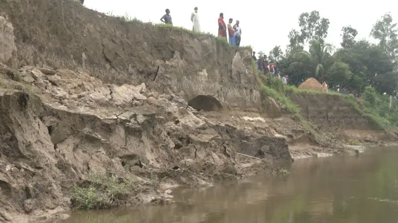 বাঙালি নদীর ভাঙনের কবলে ঘরবাড়ি ও ফসলী জমি বাঙালি নদীর ভাঙনের কবলে ঘরবাড়ি ও ফসলী জমি