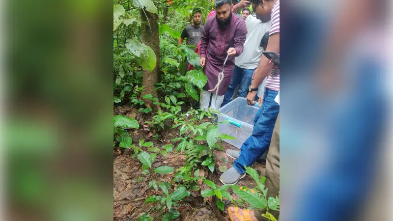 ফটিকছড়ির হাজারীখিল অভয়ারণ্যে অবমুক্ত করা হলো ৩৩ অজগর ছানা ফটিকছড়ির হাজারীখিল অভয়ারণ্যে অবমুক্ত করা হলো ৩৩ অজগর ছানা
