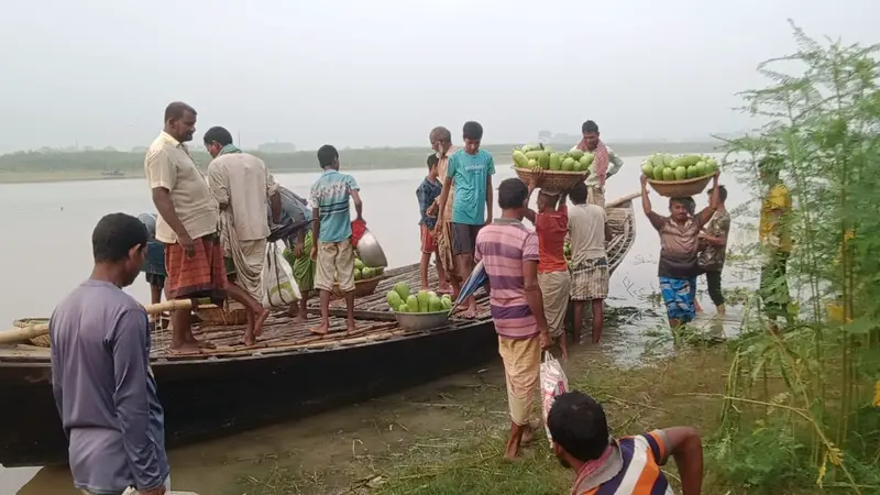 লালপুরে ইজারা ছাড়াই খেয়া ঘাটের টোল আদায়, রাজস্ব হারাচ্ছে সরকার