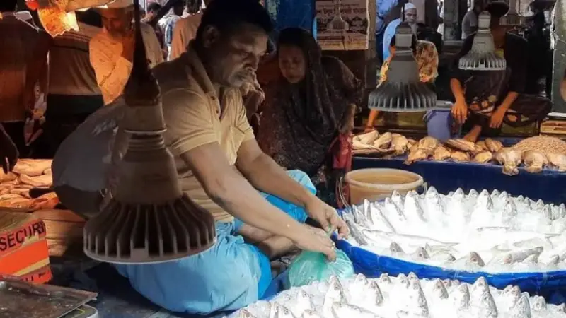 বাগেরহাটের মাছের আড়ত আবারও সরগরম বাগেরহাটের মাছের আড়ত আবারও সরগরম