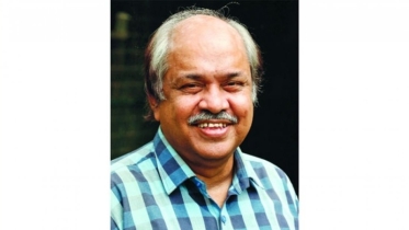 জাপানে প্রধান উপদেষ্টার দেশের অভ্যন্তরীণ বিষয়ে কথা বলা সমীচীন নয়: হাসান হাফিজ