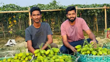 দুর্গম এলাকায় কৃষি বিপ্লব: শিক্ষিত দুই তরুণ উদ্যোক্তার ‘রুপাই ভ্যালি’