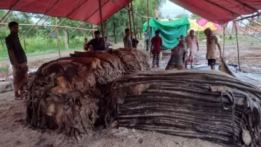 চট্টগ্রামের চন্দনাইশের চামড়া ব্যবসায়ীরা দর নিয়ে শঙ্কায়