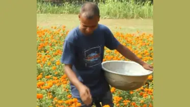 মায়ের দেয়া ৫০০ টাকায় শুরু, এখন লক্ষ লক্ষ টাকার মালিক তপু!