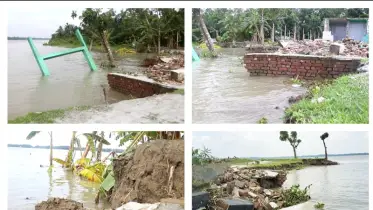 বাকেরগঞ্জে নদীর গ্রাসে শত শত ঘরবাড়ি, কাঁদছে পরিবারগুলো!