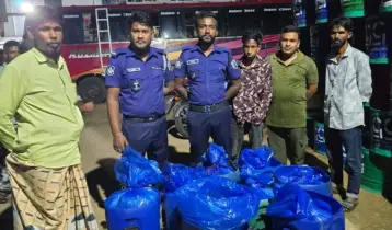 কাপ্তাই হ্রদে মা মাছ পাচার! রিলাক্স বাস থেকে উদ্ধার হলো তিনশ কেজি!