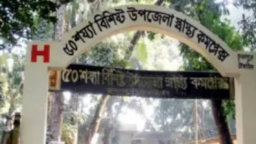 শুকরের বাচ্চা নিয়ে সংঘর্ষ, বিএনপির দুই নেতা হাসপাতালে