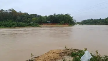 ভোগাই-চেল্লাখালীতে পানি বাড়ছে, কৃষকের কপালে চিন্তার ভাঁজ