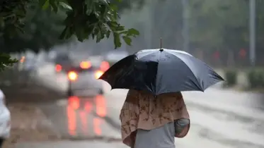 ঈদের দিনে বৃষ্টিতে দক্ষিণাঞ্চলে কোরবানিতে ভোগান্তি