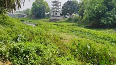 পাবনার বড়াল নদী এখন মরা খাল