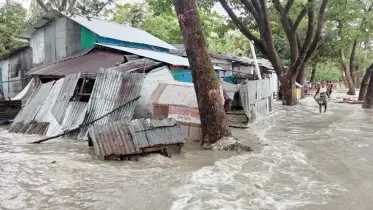 ঝড়ে লণ্ডভণ্ড কলাপাড়া, বিদ্যুৎহীন ৬০ হাজার মানুষ