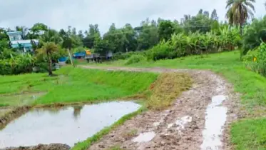 সংস্কার কাজে উদাসীনতা, ভোগান্তিতে রামগঞ্জের হাজারো পথচারী
