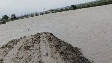 ভারি বর্ষণ ও জোয়ারের পানিতে সিডিএসপি বাঁধ তলিয়ে গেছে
