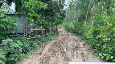 ভোগান্তির প্রতীক হয়ে দাঁড়িয়েছে শ্রীবরদীর তিন কিমি কাঁচা রাস্তা