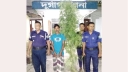 সবজি বাগানের আড়ালে গাঁজা চাষ, চাষি আটক