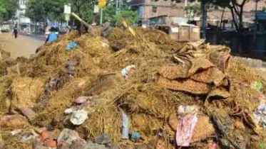 পরিবেশ রক্ষায় কোরবানির বর্জ্য পরিষ্কারে আমাদের দায়িত্ব