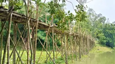 টাঙ্গাইলের নাগরপুরে চব্বিশ গ্রামের যাতায়াতের ভরসা ঝুঁকিপূর্ণ সাঁকো