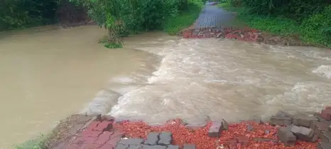 টানা বৃষ্টিতে মিরসরাইয়ে পানিবন্দি হাজারো মানুষ, ভেসে গেছে মাছের খামার