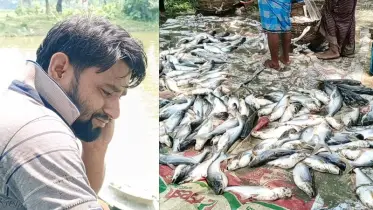 শত্রুতার বলি দুই পুকুরের মাছ, বিষাদের ঈদ কামালের পরিবারে