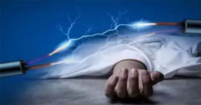 বিদ্যুৎস্পৃষ্টে নেত্রকোনায় ইজিবাইক চালক নিহত, স্ত্রী আহত