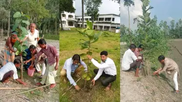 বৃক্ষরোপণ করাই যার নেশা, স্বপ্ন—প্রতিটি উপজেলায় গাছ লাগাবেন ‘লেবু মাস্টার’