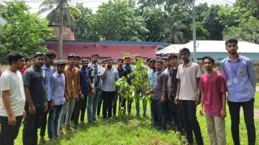 ঝিনাইদহ জেলা ছাত্রদলের বৃক্ষরোপণ কর্মসূচি পালন
