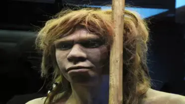 ডিএনএ ফাঁস করলো প্রাচীন প্রেমের গল্প!