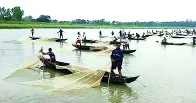 হালদায় ডিম ছেড়েছে মা মাছ, উৎসব আমেজে জেলেরা