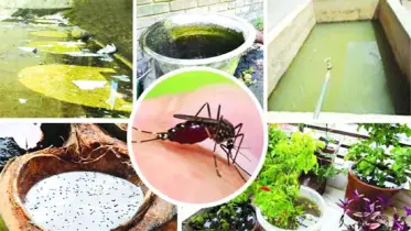 ডেঙ্গুর থাবা ও সতর্কতা