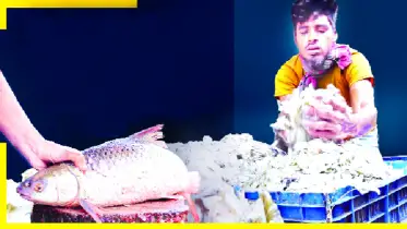মাছের আঁশে  বৈদেশিক মুদ্রা অর্জন