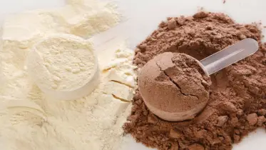 প্রোটিন পাউডার কি প্রতিদিন খাওয়া নিরাপদ?